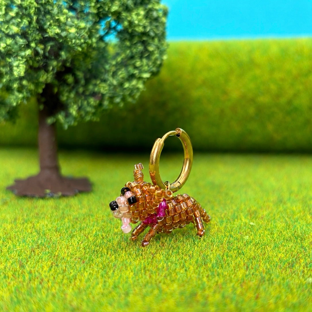 CHIHUAHUA Créole
