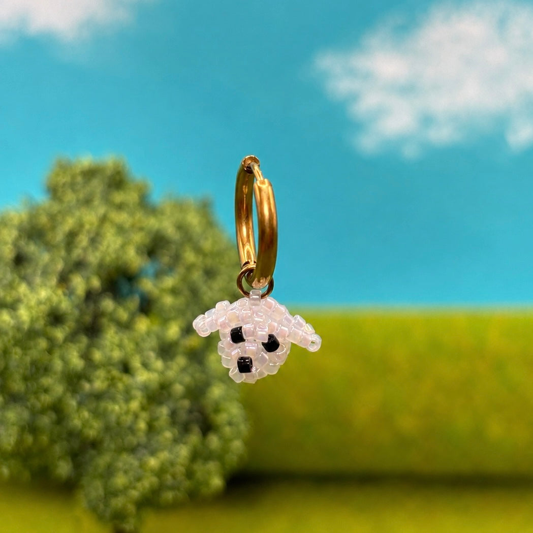 BICHON Créole tête