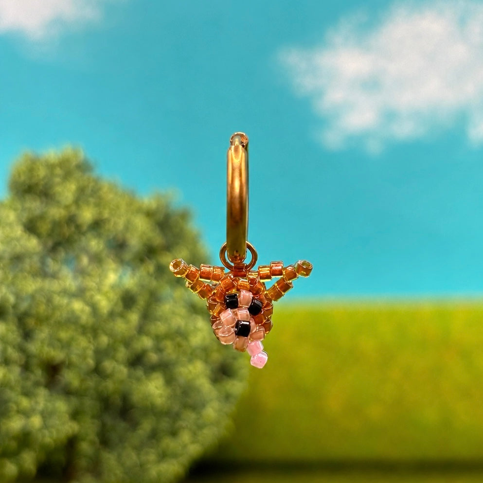 CHIHUAHUA Créole tête