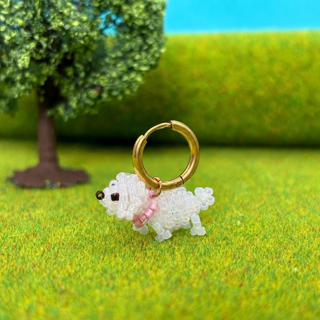 BICHON Créole