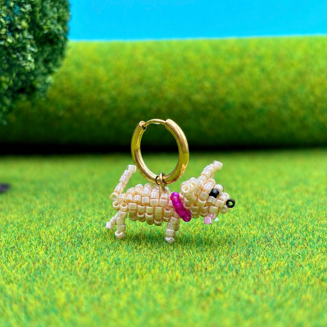 CHIHUAHUA Créole