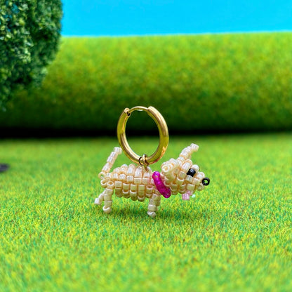 CHIHUAHUA Créole