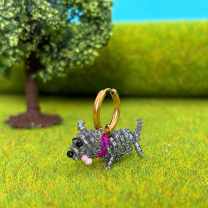 CHIHUAHUA Créole